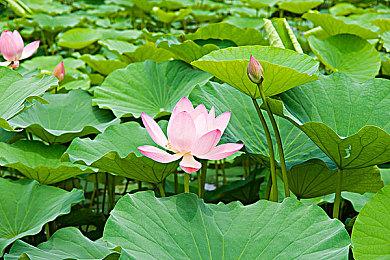 充满节日气息《街头霸王6》12月战斗通行证上线